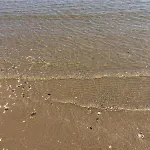 Minicasetta Sul Mare Lido di Classe