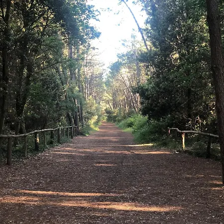 Minicasetta Sul Mare Апартаменты *