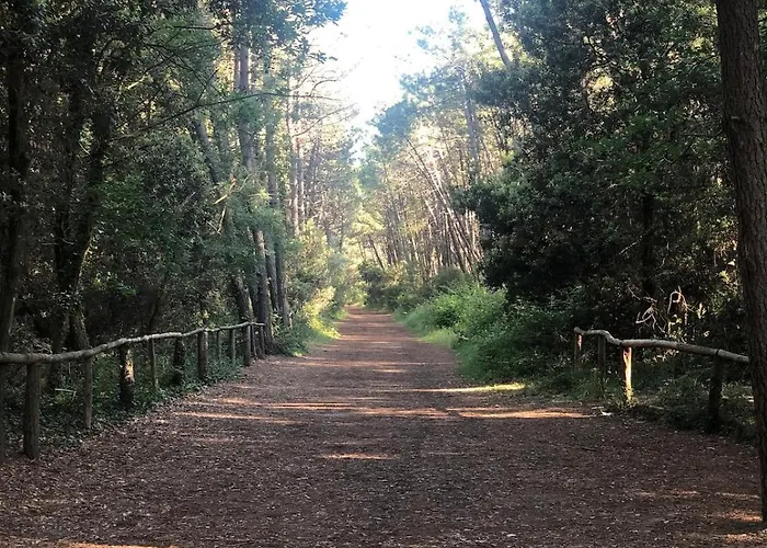 Minicasetta Sul Mare Lejlighed *